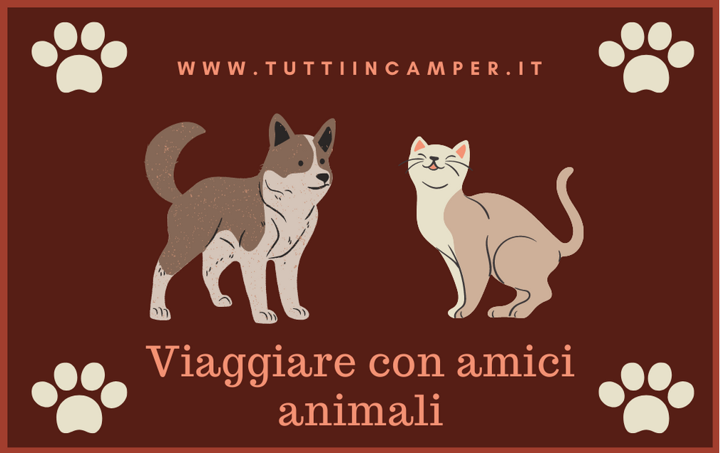 Viaggiare con un cane