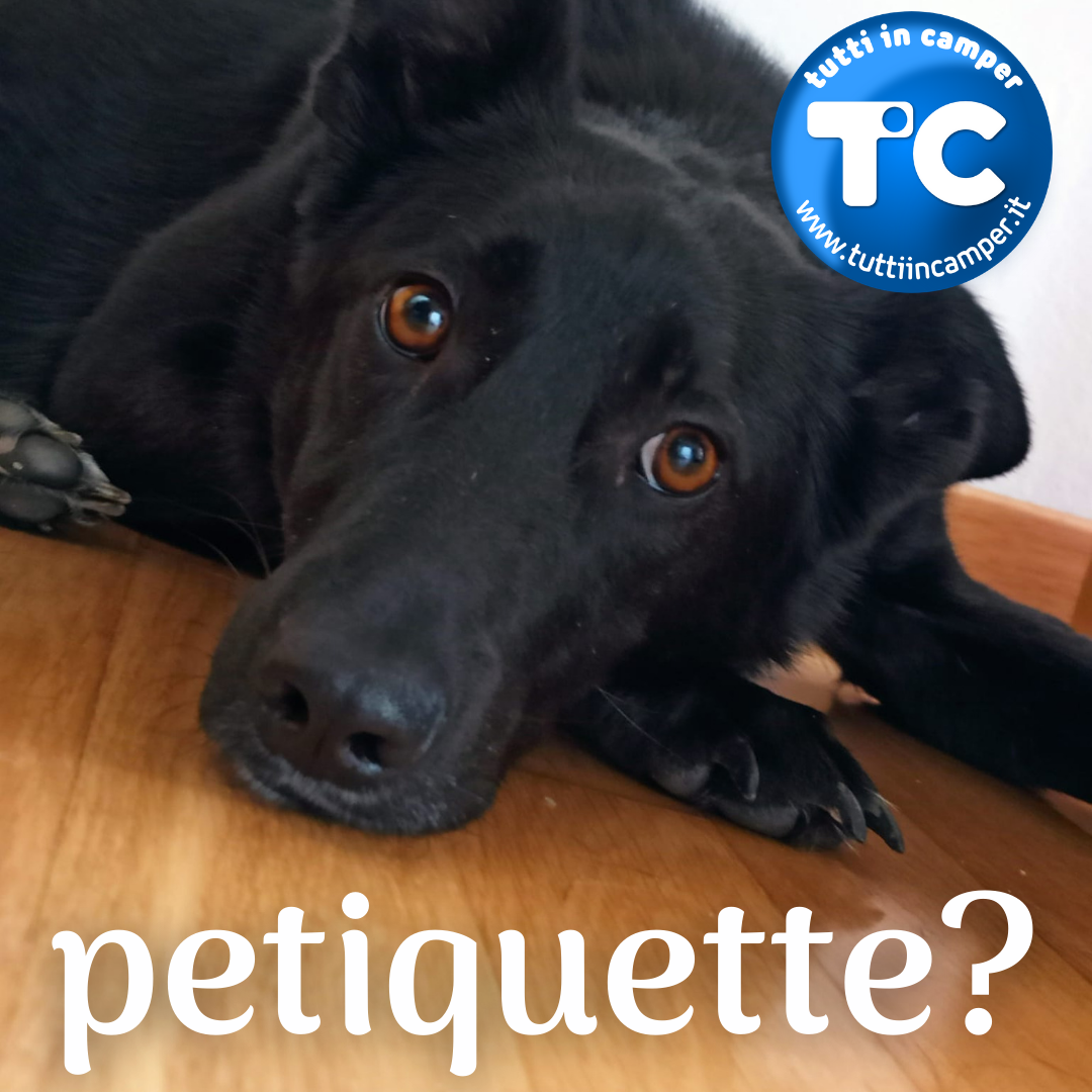 tic-petiquette