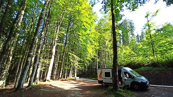 Riserva naturale biogenetica del monte Abetone